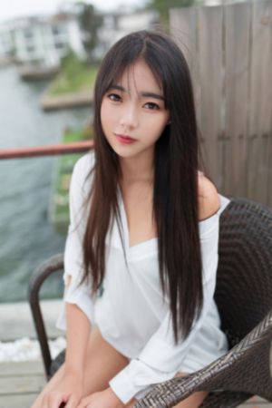 拉布拉多动画片免费观看