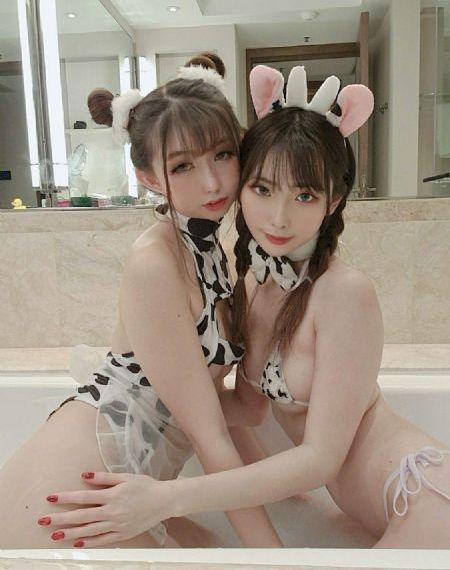 成人动漫在线免费观看